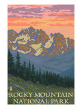 Rocky Mountain National Park  Co - Spring Flowers  c2009
