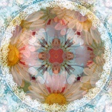 Neo Art  no 6