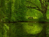 Green World