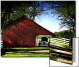 Buggy in the Red Barn