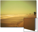 Golden Beach Landscape