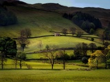 Yorkshire Dales Spring