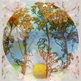 Neo Art  no 5