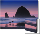 Dogs on Cannon Beach