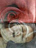 The Silent Rose