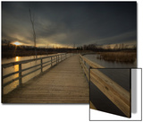 Marsh Path