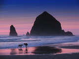 Dogs on Cannon Beach