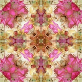 My Crosses  no 2