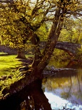 Cotswold Bridge