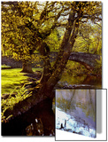 Cotswold Bridge