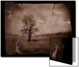 Hanging Tree