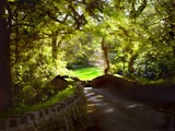 Devonshire Idyll