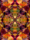 Ornamental Kiss