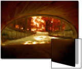 Central Park  no 1