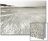 Baltrum Beach  no 6