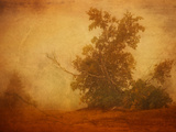 Red Planet