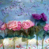 Kingdom Of Roses  no 3