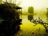 Japanese Gazebo on Deck over Water