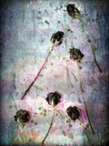 Purple Rain