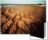Trails of Water through Sandy Beach