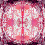 Neo Art  no 2