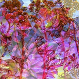 Ocean of Colours  no 4