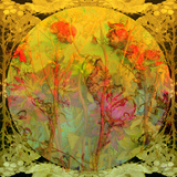 Neo Art  no 3