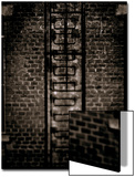 Study of a Ladder