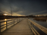Marsh Path