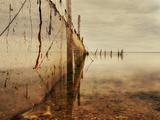 Nets