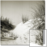 Baltrum Beach  no 10