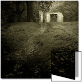 Path Leading to Ruins