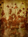 Golden Lotus