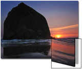 Haystack Rock and Birds
