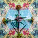 Carnation Cross
