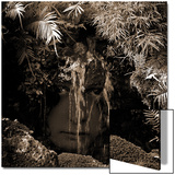 Naiad