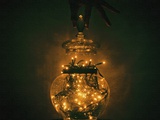 Jar of Dreams