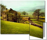 In the Yorkshire Dales