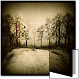 Low Lighting Lot Near Trees
