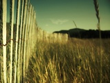 End Summer