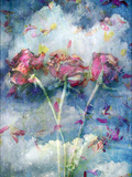 Kingdom of Roses