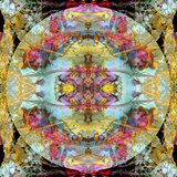 Couleur Royale de la Mandala  no 1