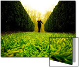 Walking through Garden Maze