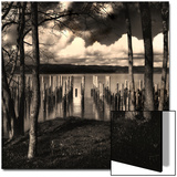 Pilings at the Riverbank