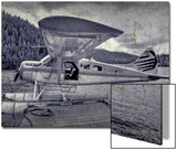 Sea Plane