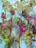 Ocean of Colours  no 5