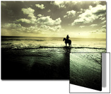 Horseback Riding in the Tide