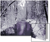 Snow Covered Trees along Creek in Winter Landscape