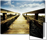 Boardwalk Leading to the Sky