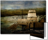 Safe Harbor